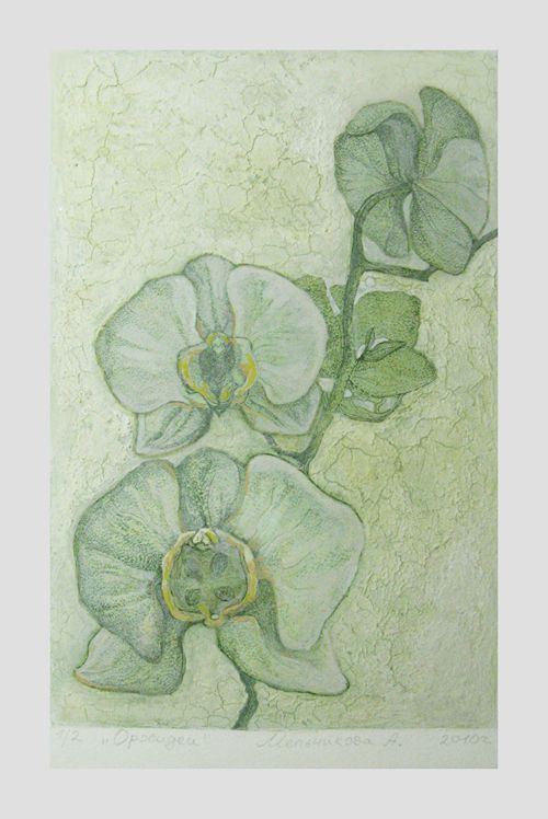 Орхидеи - Мельникова Анастасия - Сайт художника